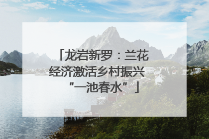 龙岩新罗：兰花经济激活乡村振兴“一池春水”