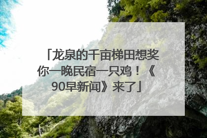 龙泉的千亩梯田想奖你一晚民宿一只鸡！《90早新闻》来了