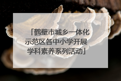 鹤壁市城乡一体化示范区各中小学开展学科素养系列活动