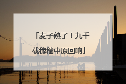 麦子熟了！九千载稼穑中原回响