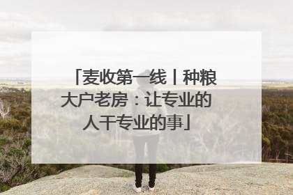 麦收第一线丨种粮大户老房：让专业的人干专业的事