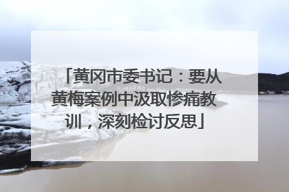 黄冈市委书记：要从黄梅案例中汲取惨痛教训，深刻检讨反思