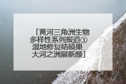 黄河三角洲生物多样性系列报道①湿地修复结硕果 大河之洲展新颜