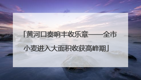 黄河口奏响丰收乐章——全市小麦进入大面积收获高峰期