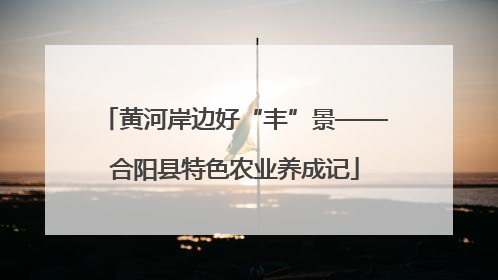 黄河岸边好“丰”景——合阳县特色农业养成记