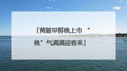 黄陂早鲜桃上市 “桃”气满满迎客来