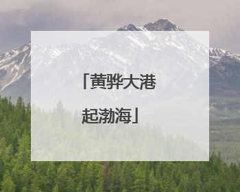 黄骅大港起渤海