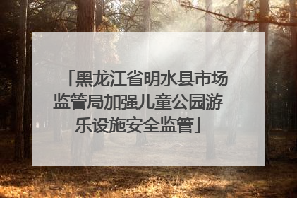 黑龙江省明水县市场监管局加强儿童公园游乐设施安全监管
