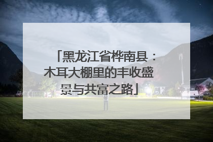 黑龙江省桦南县：木耳大棚里的丰收盛景与共富之路