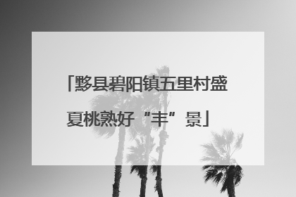 黟县碧阳镇五里村盛夏桃熟好“丰”景