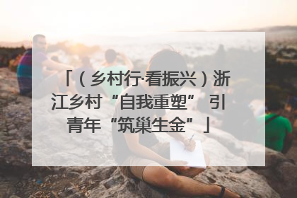 （乡村行·看振兴）浙江乡村“自我重塑” 引青年“筑巢生金”