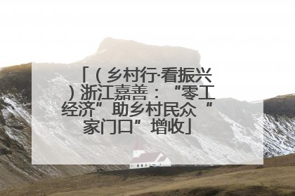 （乡村行·看振兴）浙江嘉善：“零工经济”助乡村民众“家门口”增收