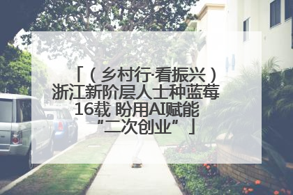 （乡村行·看振兴）浙江新阶层人士种蓝莓16载 盼用AI赋能“二次创业”