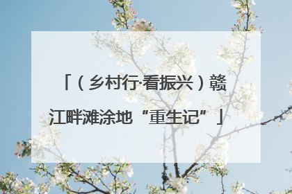 （乡村行·看振兴）赣江畔滩涂地“重生记”