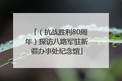 （抗战胜利80周年）探访八路军驻新疆办事处纪念馆