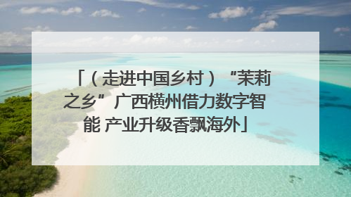 （走进中国乡村）“茉莉之乡”广西横州借力数字智能 产业升级香飘海外