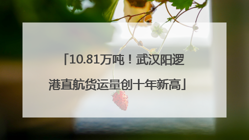 10.81万吨！武汉阳逻港直航货运量创十年新高
