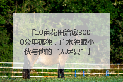 10亩花田治愈3000公里孤独，广水独眼小伙与他的“无尽夏”