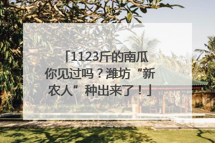 1123斤的南瓜你见过吗？潍坊“新农人”种出来了！