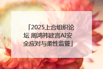 2025上合组织论坛 周鸿祎建言AI安全应对与柔性监管