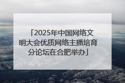 2025年中国网络文明大会优质网络主播培育分论坛在合肥举办