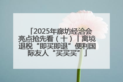 2025年廊坊经洽会亮点抢先看（十）丨离境退税“即买即退”便利国际友人“买买买”