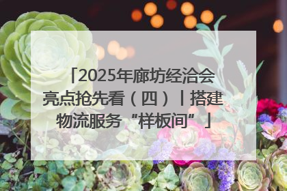 2025年廊坊经洽会亮点抢先看（四）丨搭建物流服务“样板间”