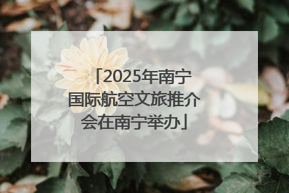 2025年南宁国际航空文旅推介会在南宁举办