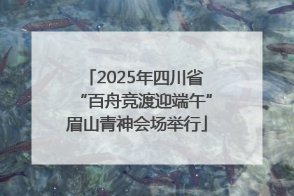 2025年四川省“百舟竞渡迎端午”眉山青神会场举行