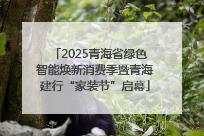 2025青海省绿色智能焕新消费季暨青海建行“家装节”启幕