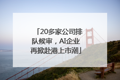 20多家公司排队候审，AI企业再掀赴港上市潮