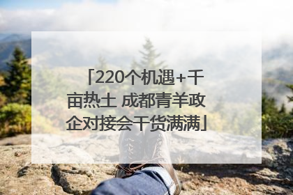 220个机遇+千亩热土 成都青羊政企对接会干货满满