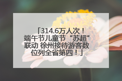 314.6万人次！端午节儿童节“苏超”联动 徐州接待游客数位列全省第四！