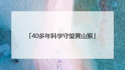 40多年科学守望黄山猴