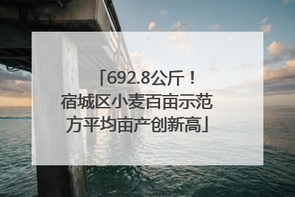 692.8公斤！宿城区小麦百亩示范方平均亩产创新高