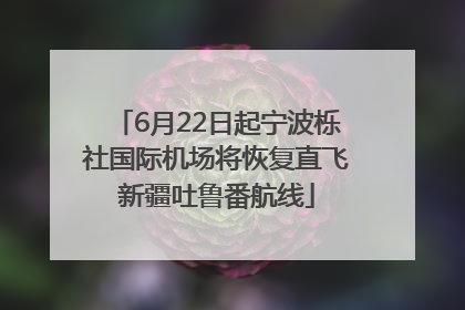 6月22日起宁波栎社国际机场将恢复直飞新疆吐鲁番航线