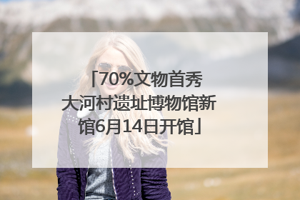 70%文物首秀 大河村遗址博物馆新馆6月14日开馆