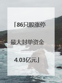 86只股涨停 最大封单资金4.03亿元