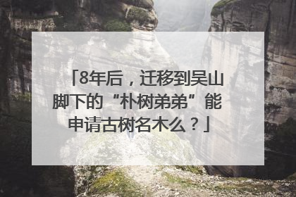 8年后，迁移到吴山脚下的“朴树弟弟”能申请古树名木么？