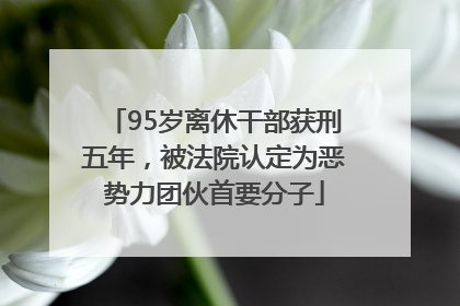 95岁离休干部获刑五年，被法院认定为恶势力团伙首要分子