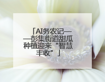 AI务农记——彭集街道甜瓜种植迎来“智慧丰收”