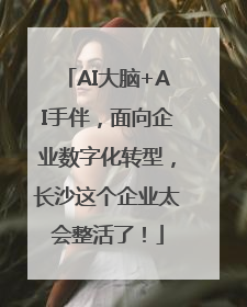 AI大脑+AI手伴，面向企业数字化转型，长沙这个企业太会整活了！