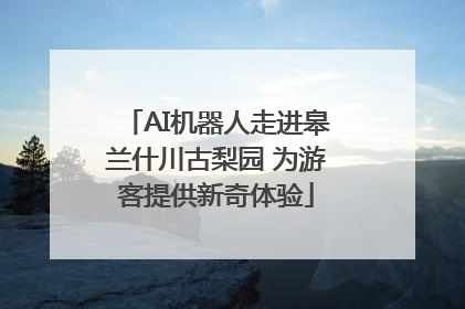 AI机器人走进皋兰什川古梨园 为游客提供新奇体验