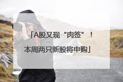 A股又现“肉签”！本周两只新股将申购