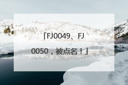 FJ0049、FJ0050，被点名！