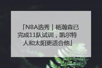 NBA选秀｜杨瀚森已完成11队试训，凯尔特人和太阳更适合他
