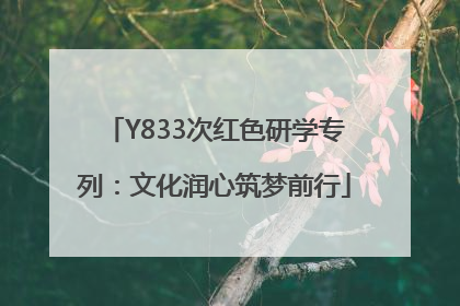 Y833次红色研学专列：文化润心筑梦前行